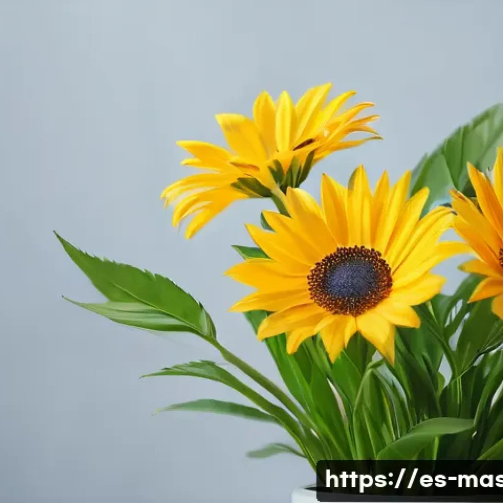 스포츠마사지사 중점 과목 정리 관련 이미지 1