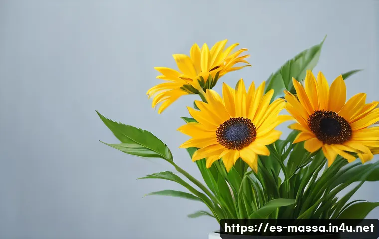 스포츠마사지사 중점 과목 정리 관련 이미지 1